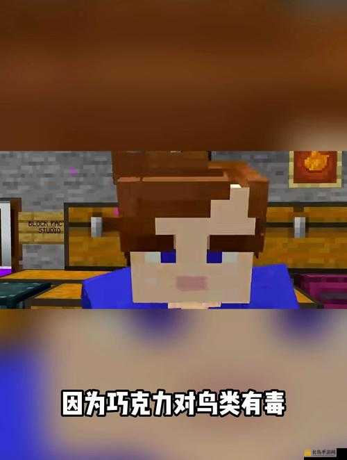 暴躁老外玩 Minecraft 中国：方块世界的奇妙冒险