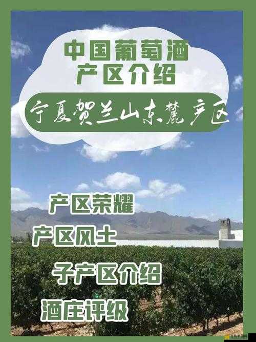 麻豆精产国品一二三产区区别在哪及各产区特点详细分析