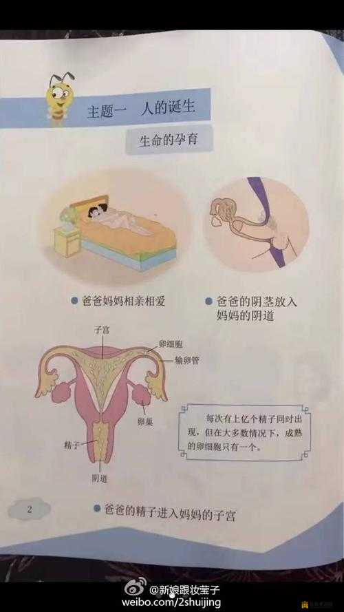 18sex 相关话题：探索其背后的奥秘与影响