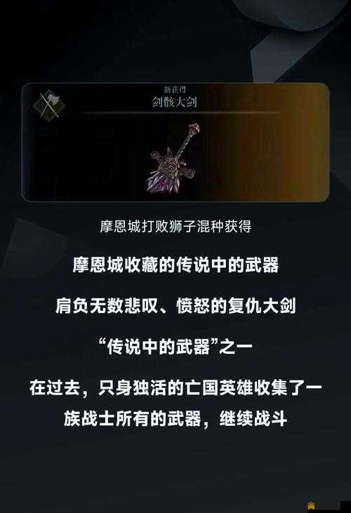 艾尔登法环游戏中双持武器效果全面解析及实战应用指南