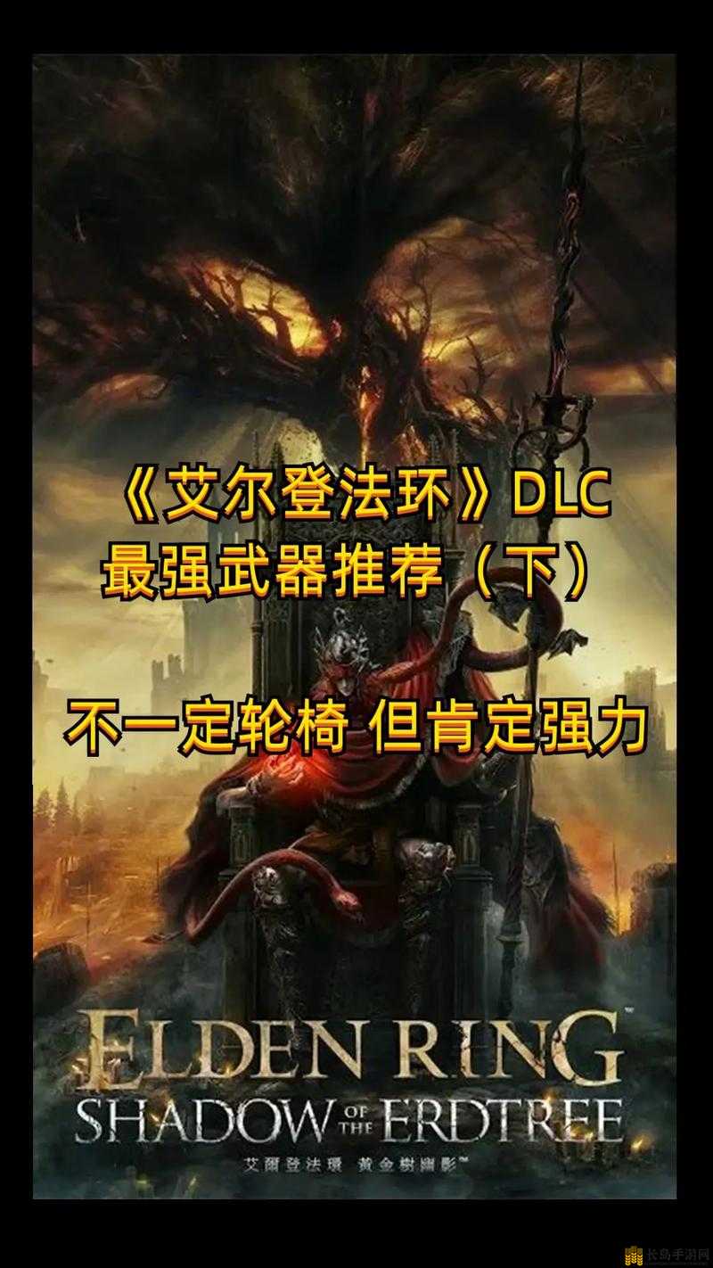 艾尔登法环DLC详细攻略，如何获取强大的魔法守护指头装备