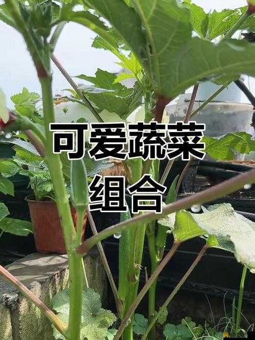 丝瓜秋葵草莓绿巨人大全：探索丰富多彩的果蔬与神秘巨人世界