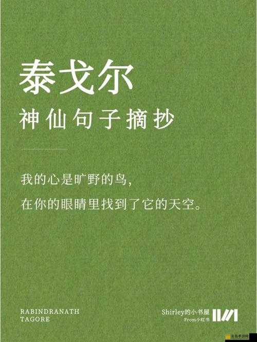 以浪漫的滋润刘大勇：在雨中的爱情冒险