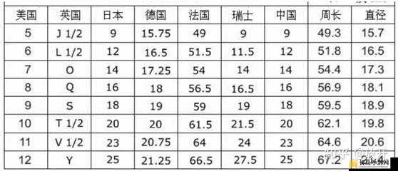 三叶草 M 码和欧洲码区别：尺寸差异及选购指南全解析