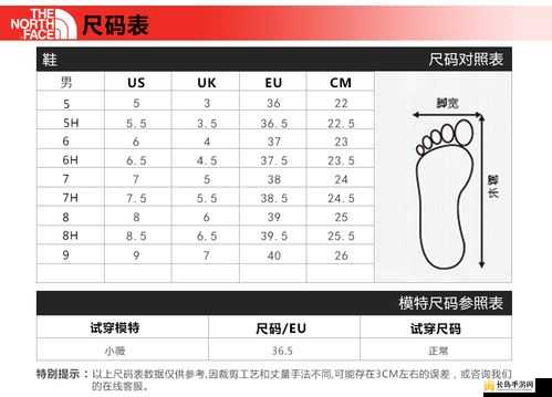 欧亚尺码专线欧洲 b1b1 发布最新通告：最新尺码信息，助力您的购物决策