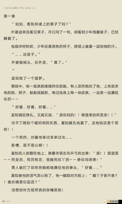 车速超高废文的双男主短篇小说之两个男主的情感纠葛与命运交织