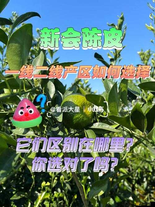 一线产区和二线产区的主要差距是什么：深度剖析与全面解读